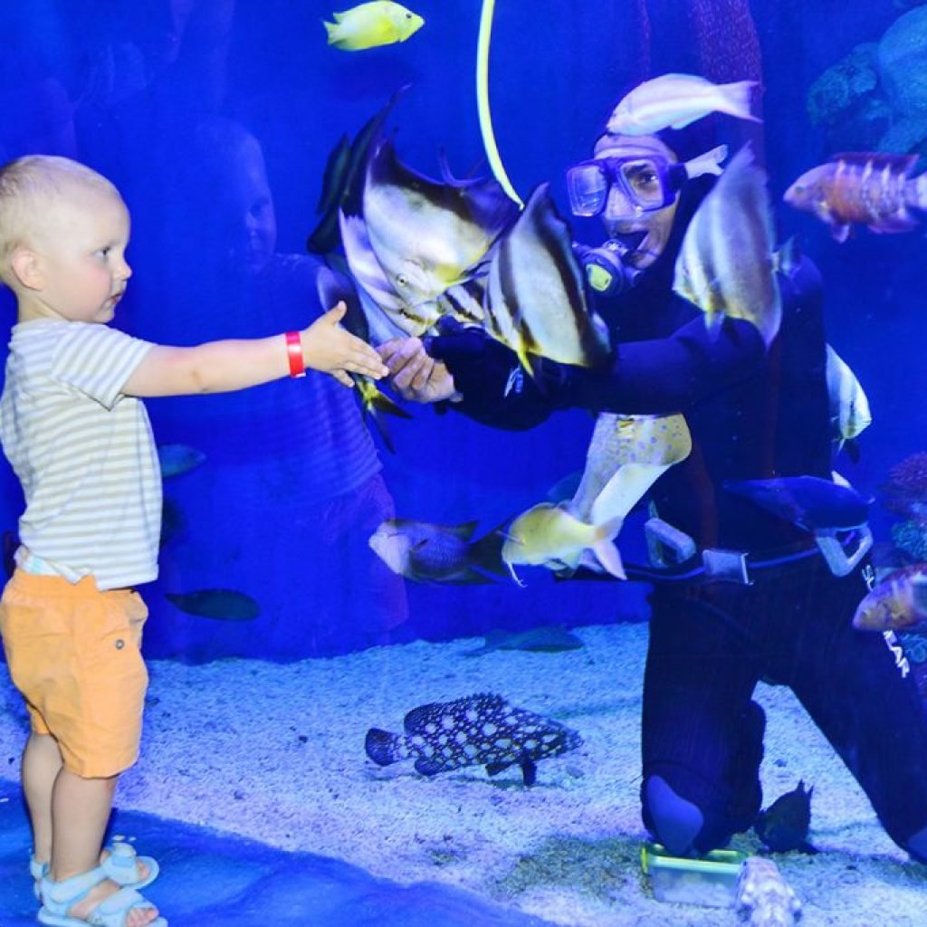 Hurghada Grand Aquarium