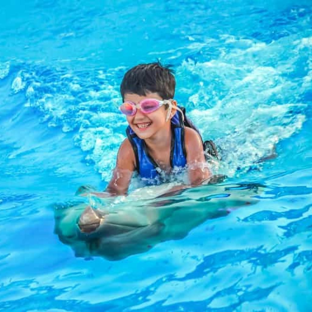 Swimming and Photo Session with Dolphins in Hurghada