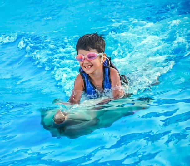 Swimming and Photo Session with Dolphins in Hurghada