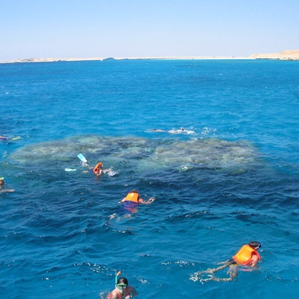 Dolphin House Snorkeling tour