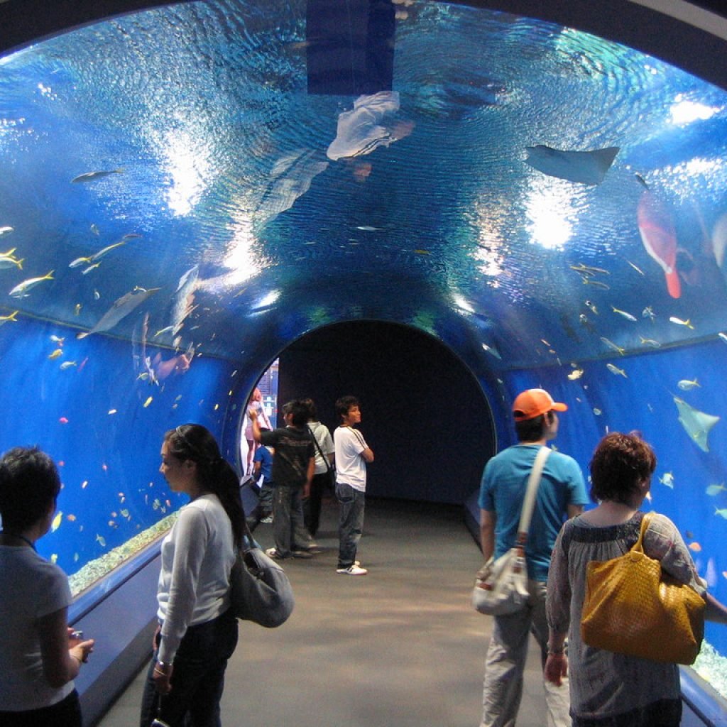 Hurghada Grand Aquarium