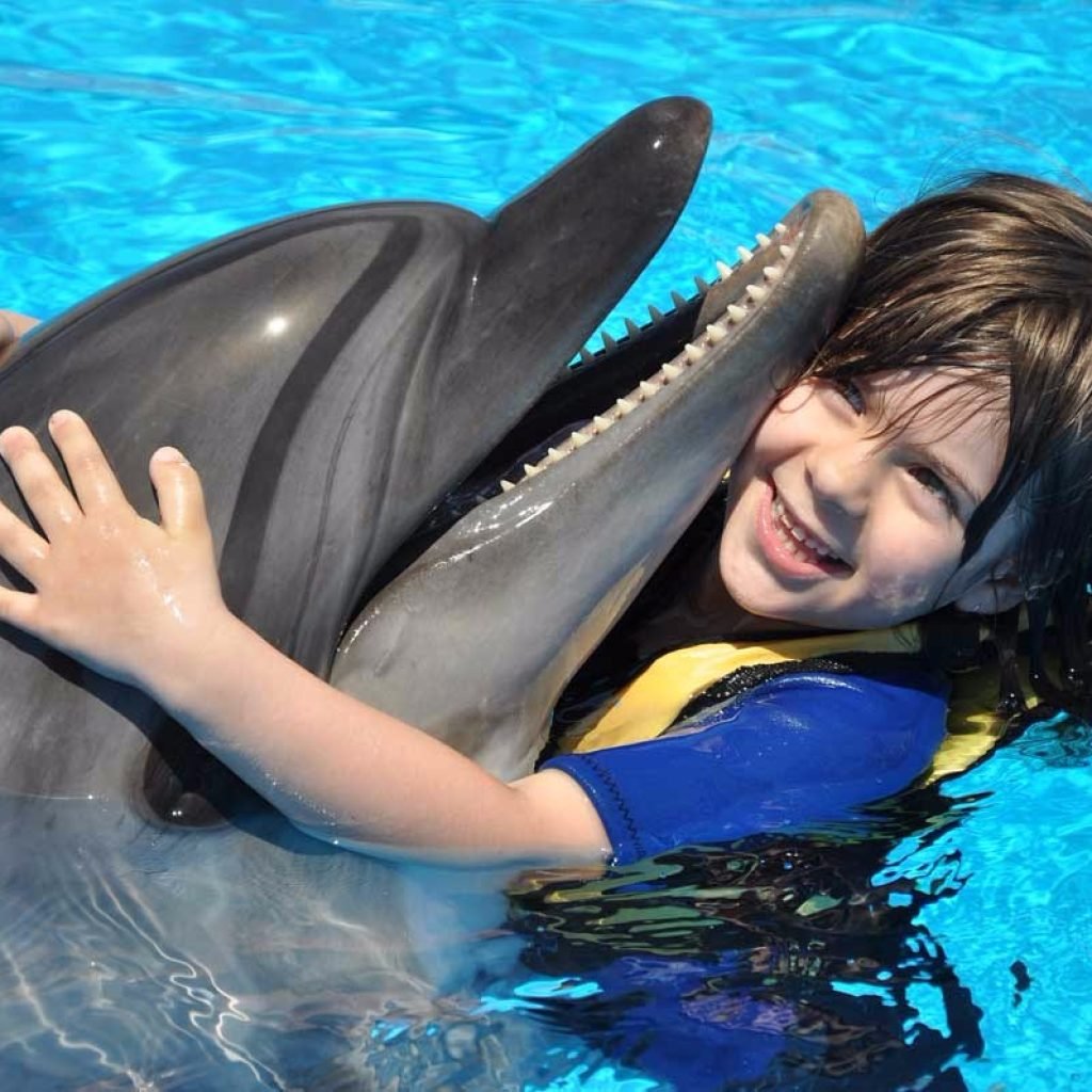 Swimming and Photo Session with Dolphins in Hurghada