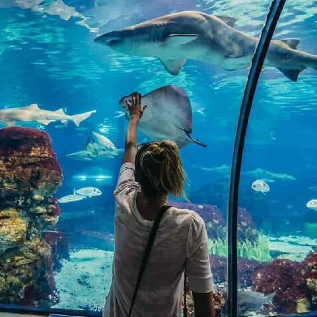 Hurghada Grand Aquarium