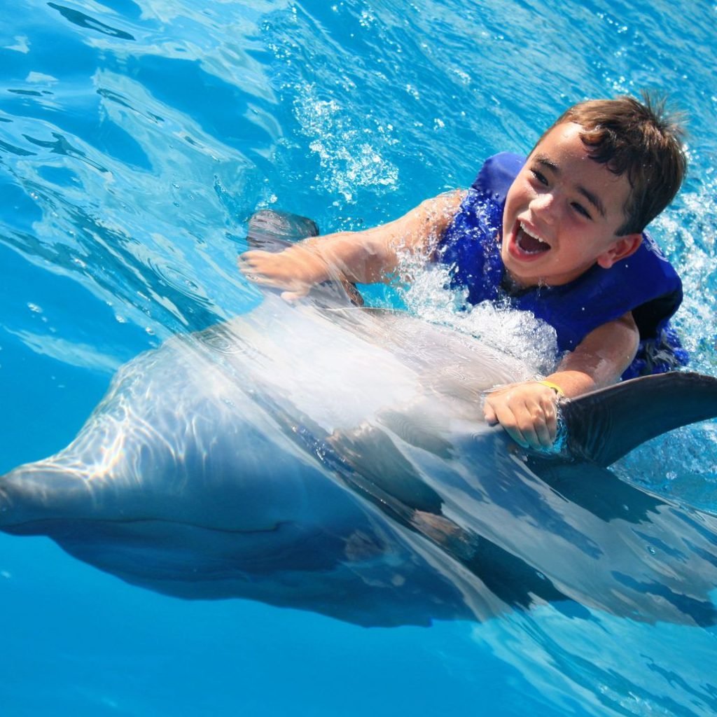 Swimming and Photo Session with Dolphins in Hurghada