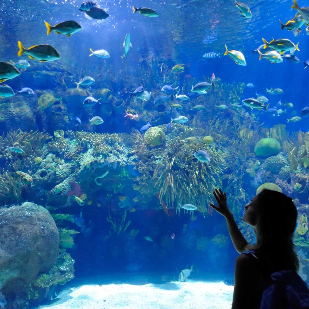 Hurghada Grand Aquarium