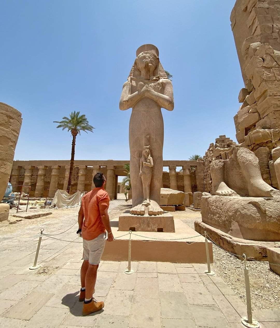 Luxor day trip with the Valley of the Kings by bus