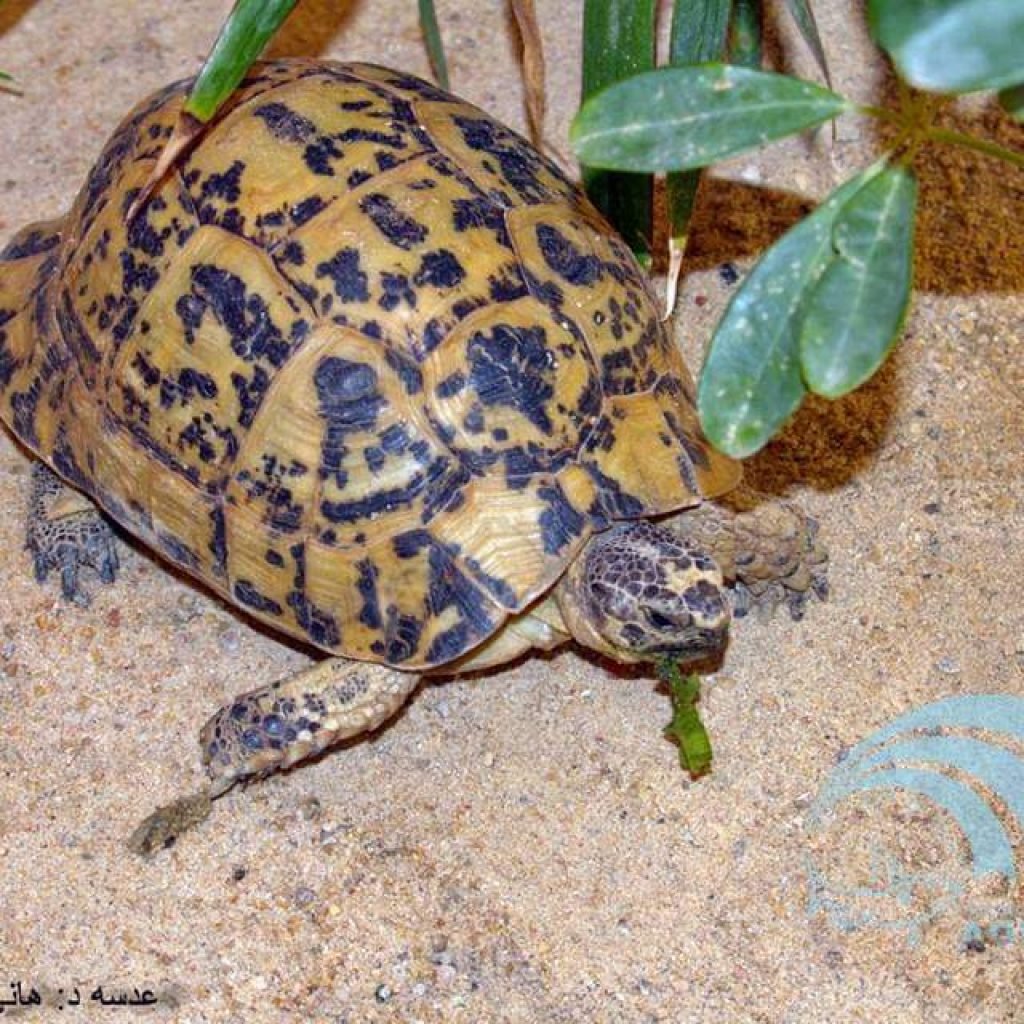 Hurghada Grand Aquarium