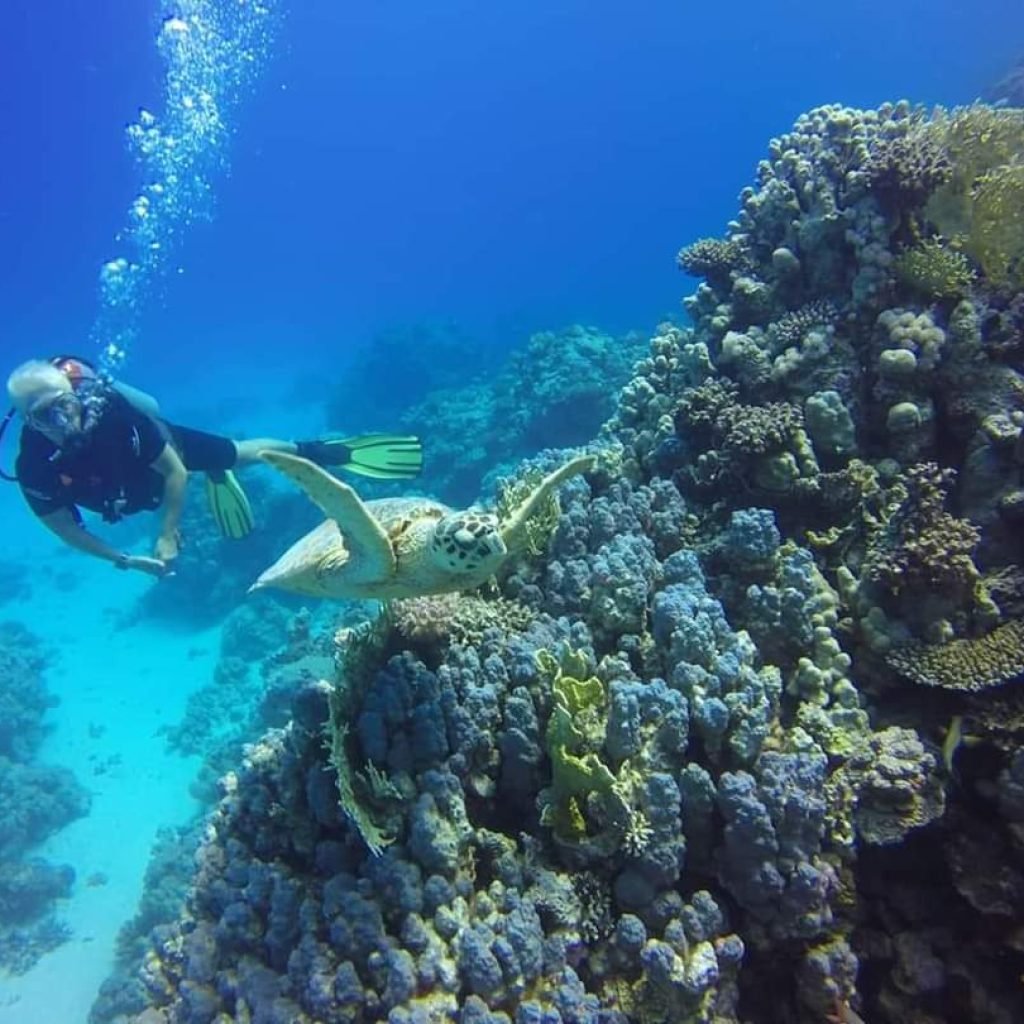 Scuba Diving Tour with lunch in Marsa Alam