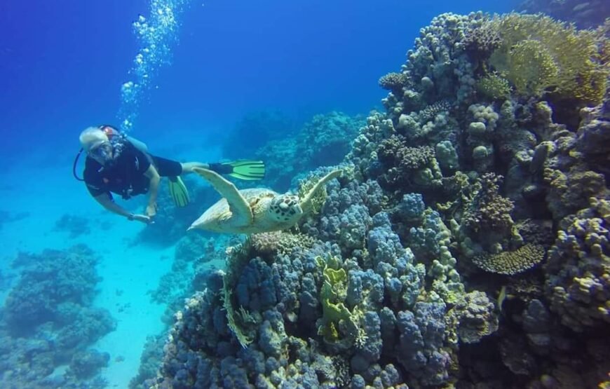 Scuba Diving Tour with lunch in Marsa Alam