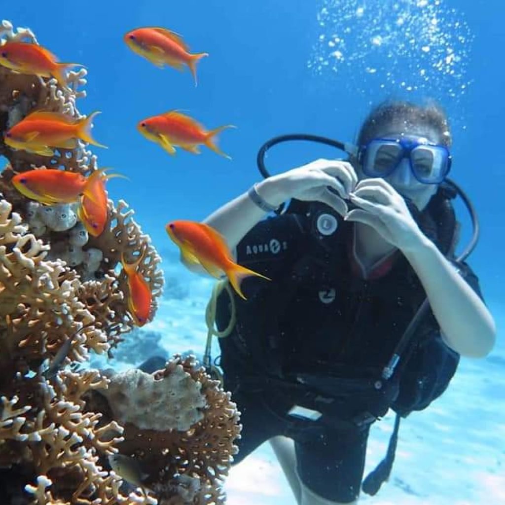 Scuba Diving Tour with lunch in Marsa Alam
