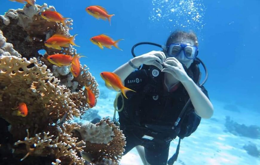 Scuba Diving Tour with lunch in Marsa Alam