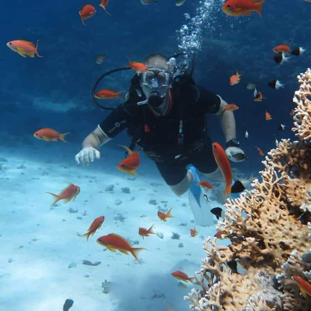 Scuba Diving Tour with lunch in Marsa Alam
