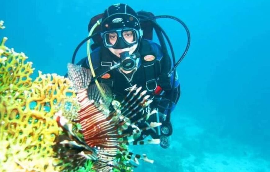 Scuba Diving Tour with lunch in Marsa Alam