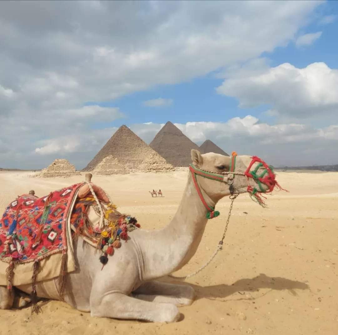 Hurghada Full Day Trip to Cairo by Plane