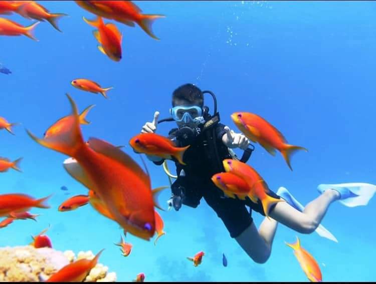 Scuba Diving Tour with lunch