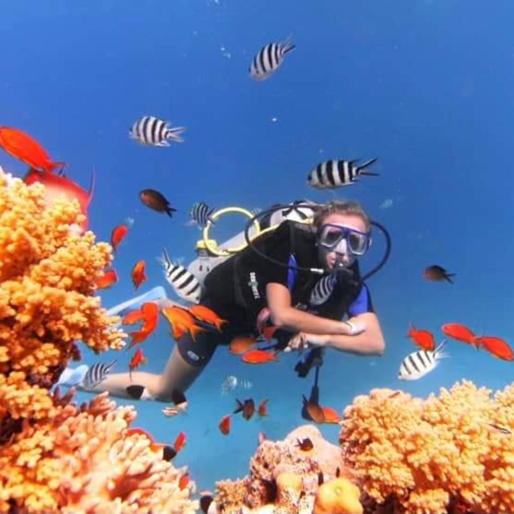 Scuba Diving Tour with lunch in Marsa Alam