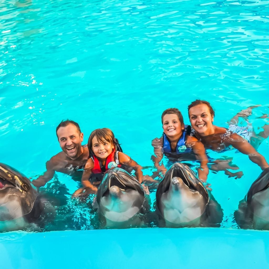 Photo season with Dolphins