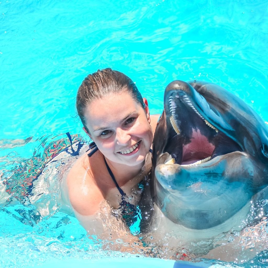 Photo season with Dolphins