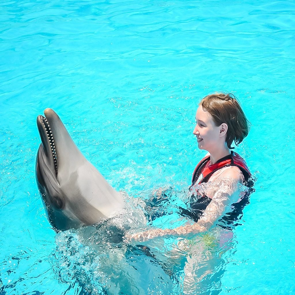 Photo season with Dolphins