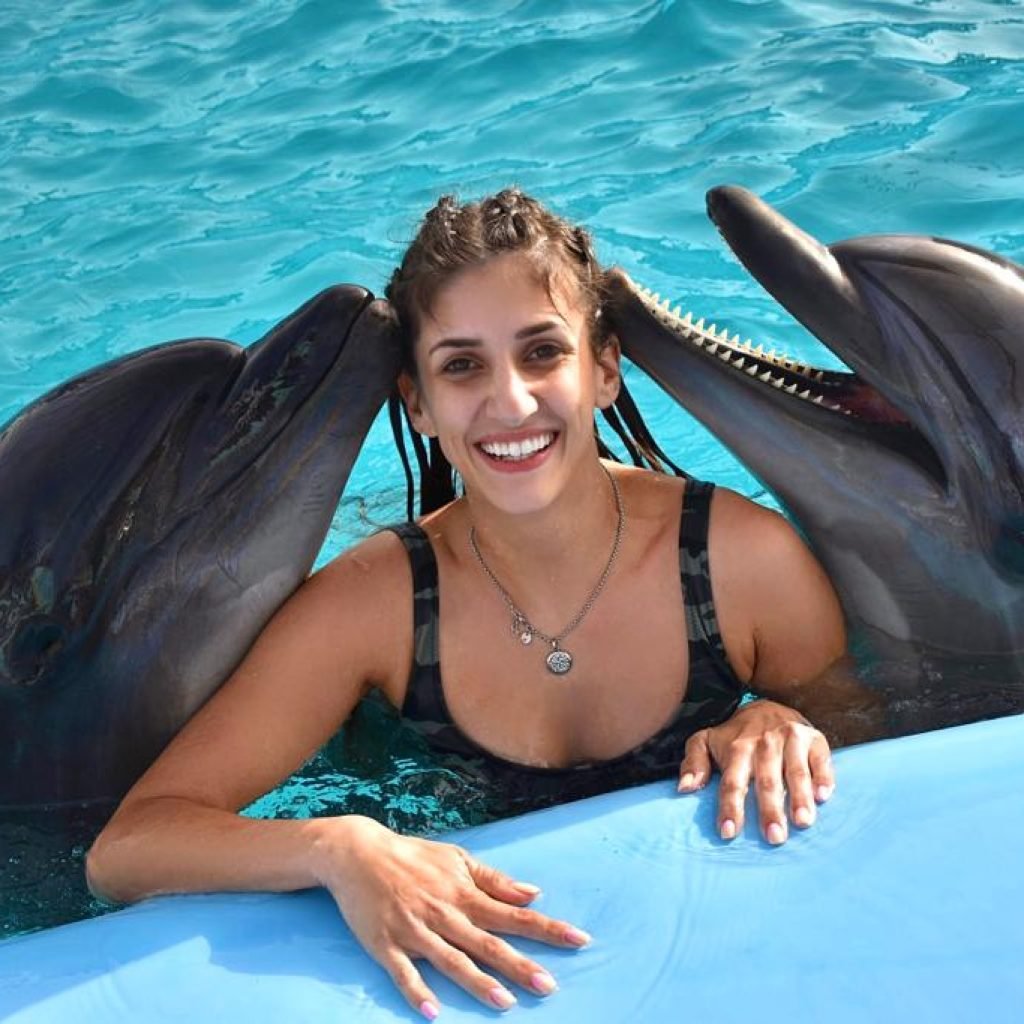 Photo season with Dolphins