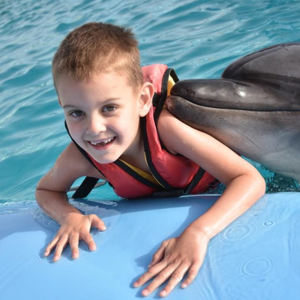 Photo season with Dolphins