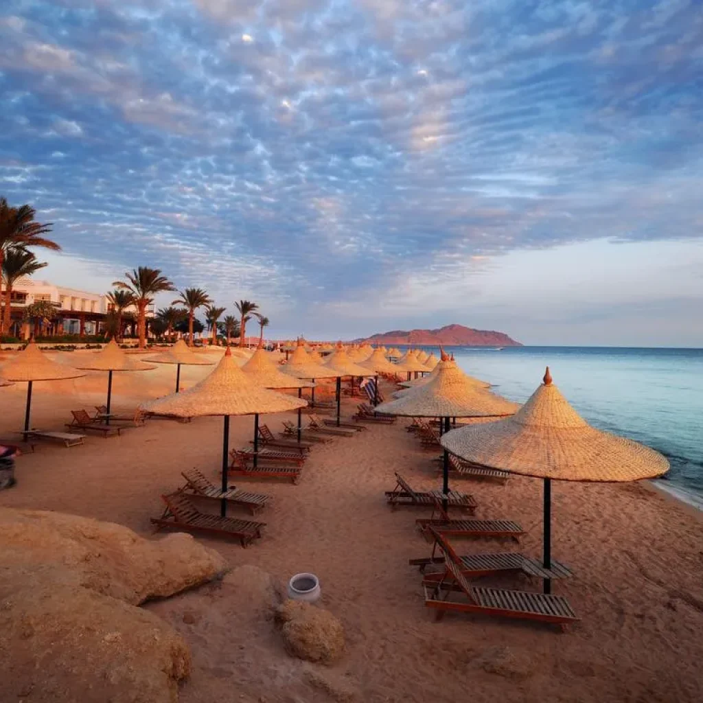 Marsa Alam: Pirates Premium Boat to turtle bay with lunch