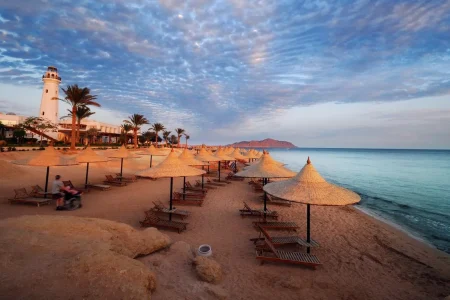 Sharm El Shiekh: Beach and City Desert Horse Riding Tour