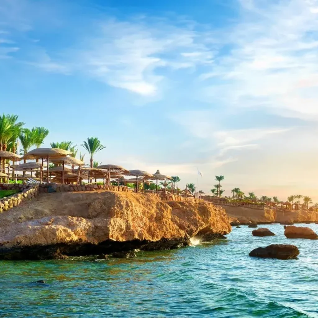 Marsa Alam: Pirates Premium Boat to turtle bay with lunch