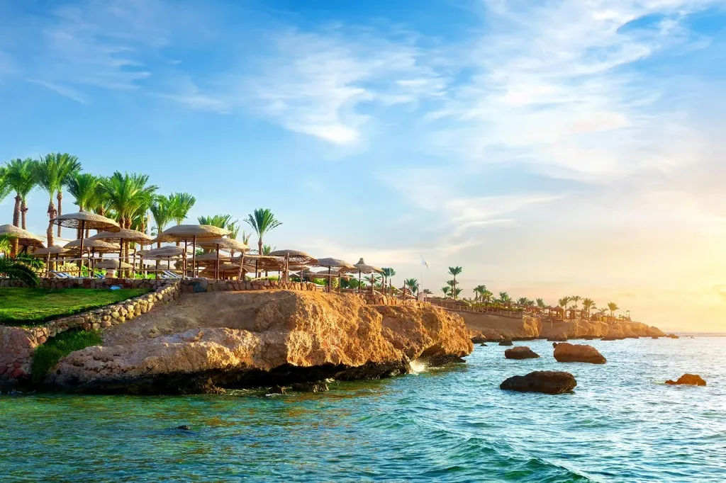 Marsa Alam: Pirates Premium Boat to turtle bay with lunch