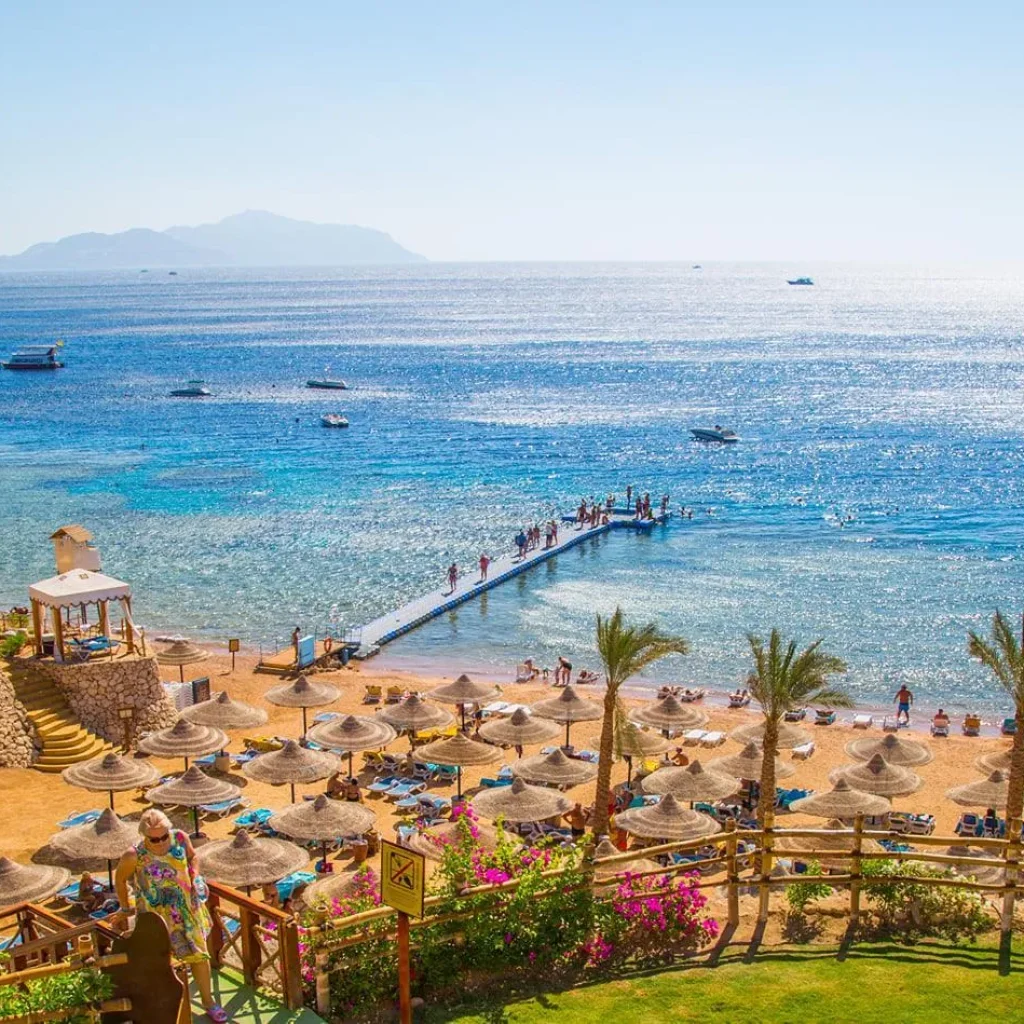 Marsa Alam: Pirates Premium Boat to turtle bay with lunch