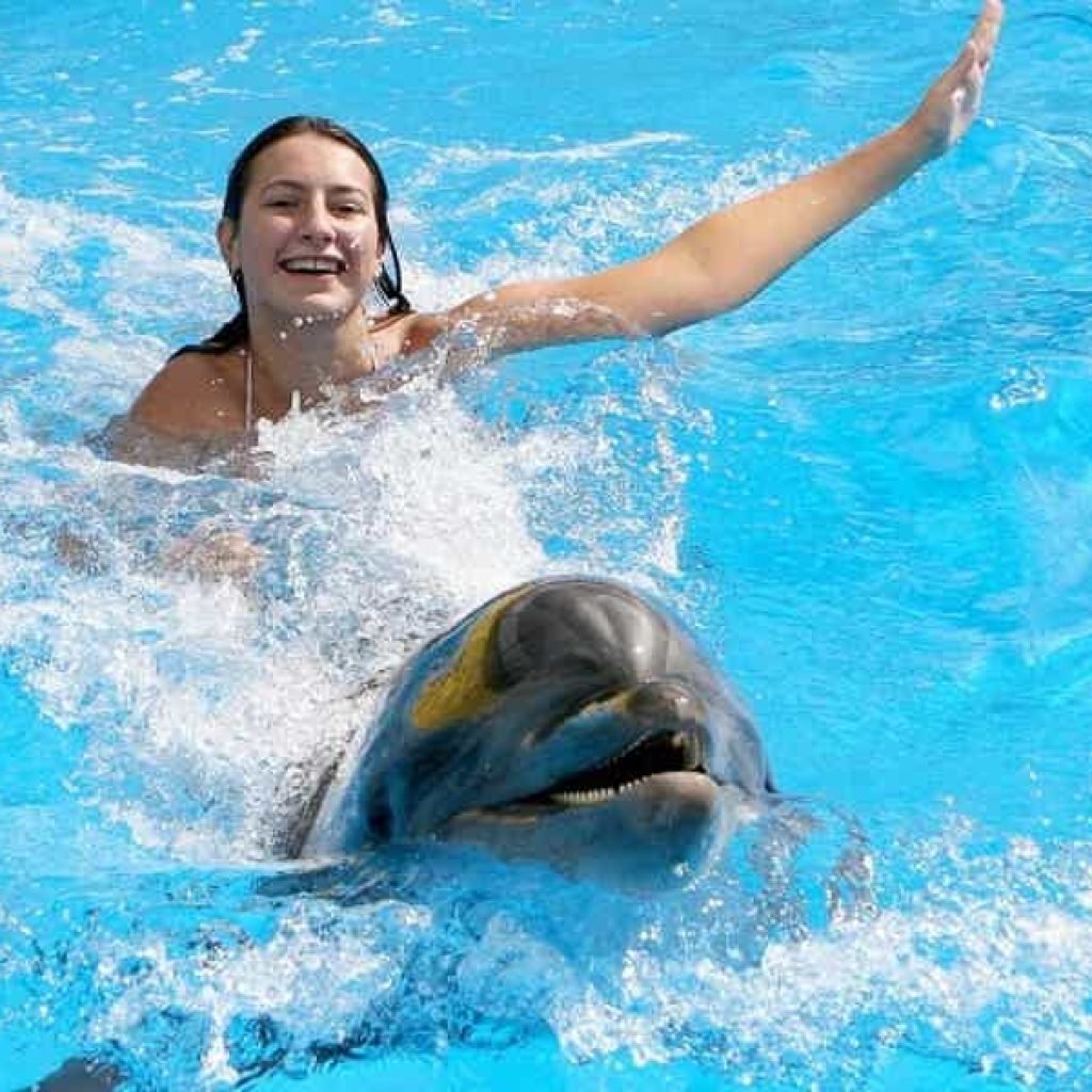 Swimming and Photo Session with Dolphins in Hurghada