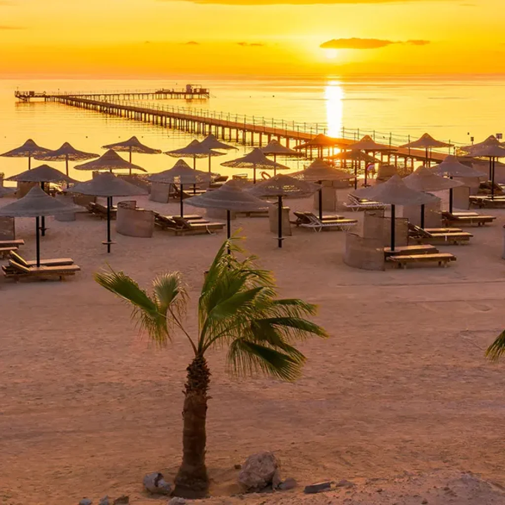 Marsa Alam: Royal Seascope Submarine Cruise with Pickup