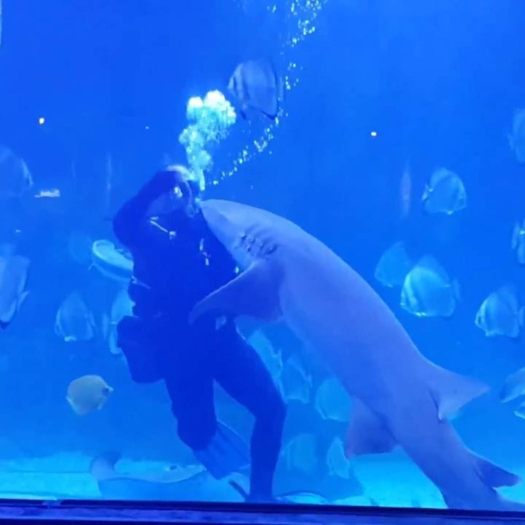 Hurghada Grand Aquarium