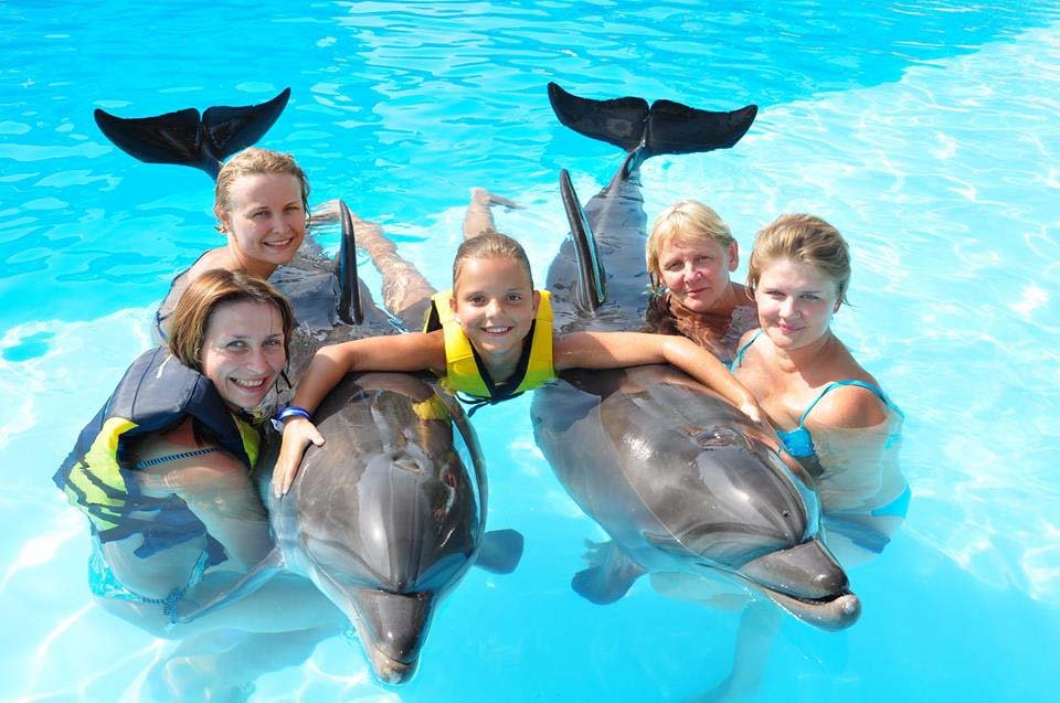 Swimming and Photo Session with Dolphins in Hurghada